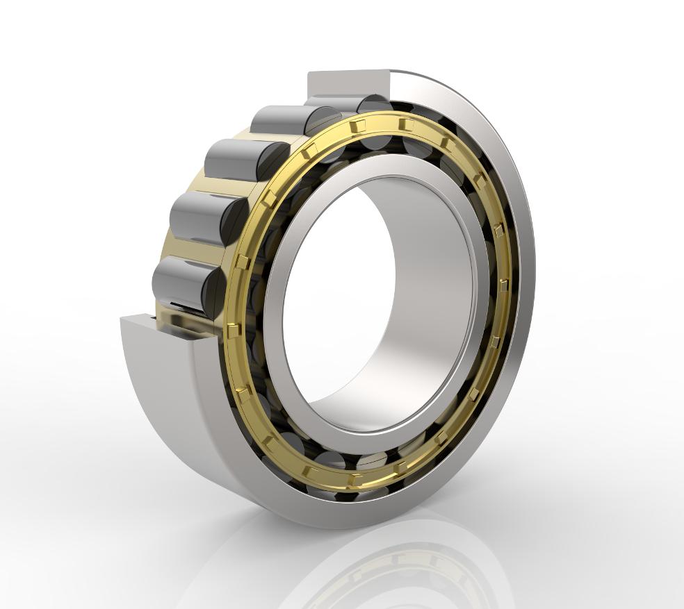 INA SL045005 Cylindrical Roller Bearing Normal Clearance Metric 13300lbf Static Load Capacity 25mm ID 9000rpm Maximum Rotational Speed Double Row Open End Oil Hole 47mm OD 10200lbf Dynamic Load Capacity 30mm Width Fixed 